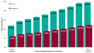 obesity graph