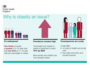 obesity image