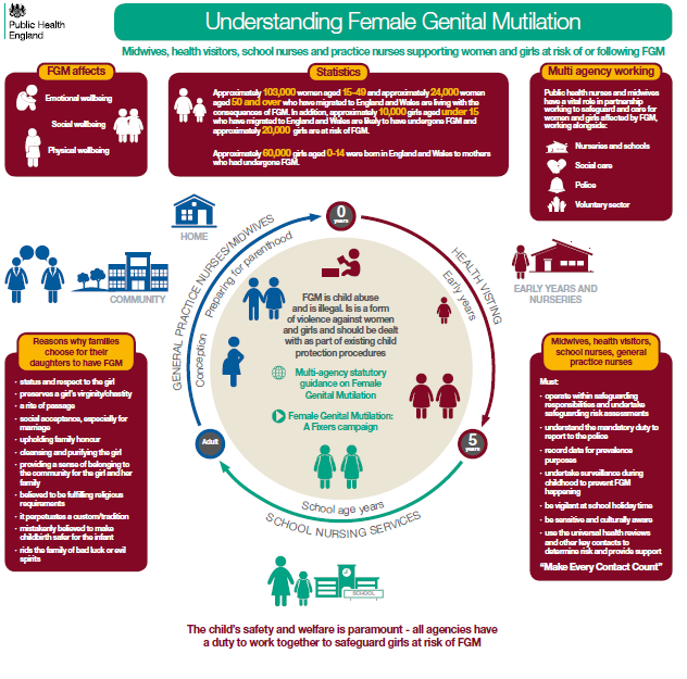 FGM prevention role in community healthcare and Mandatory Reporting (MR ...