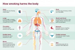 Effects Of Nicotine On Children And Non